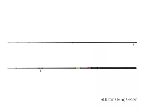 Delphin MURENA POWER Harcsázó bot 125g dobósúly   