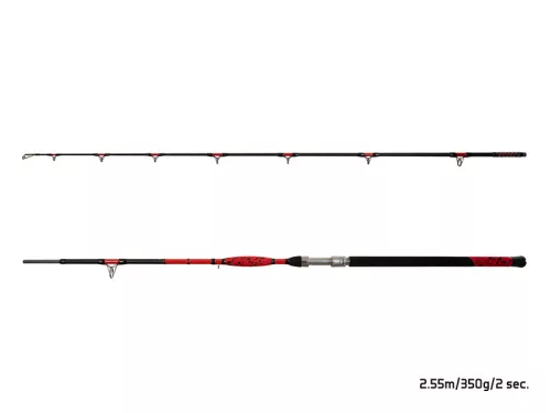 Delphin DANGER CatFISH | 255cm/350g/2rész