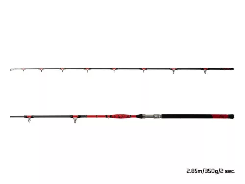 Delphin DANGER CatFISH | 285cm/350g/2rész