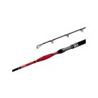 Delphin DANGER CatFISH | 310cm/350g/2rész