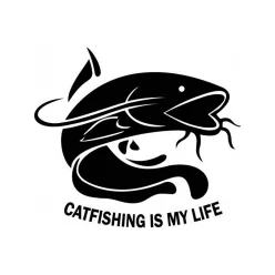 Autó és csónak matrica 15 cm Catfishing Is My Life   