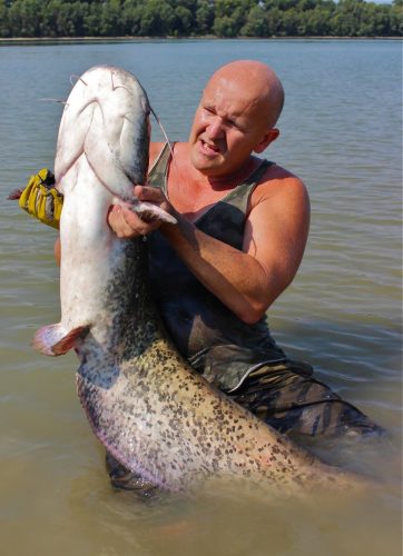 Professzionális vezetett horgász túrák oktatással - kuttyogatás, pergetés, vertikál 2 fő   ( motorcsónakkal a Dunán) 