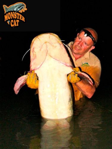 Professzionális vezetett horgász túrák oktatással - kuttyogatás, pergetés, vertikál 2 fő   ( motorcsónakkal a Dunán) 