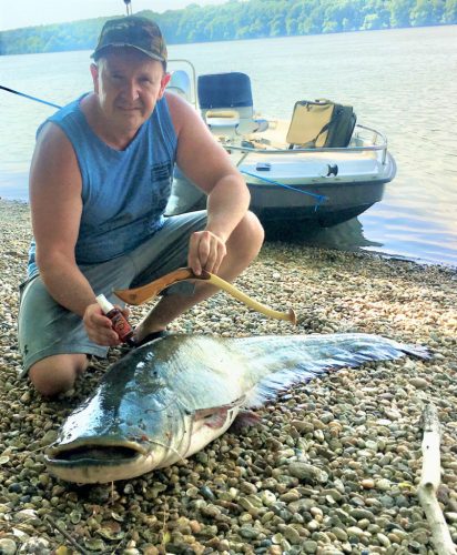 Professzionális vezetett horgász túrák oktatással - kuttyogatás, pergetés, vertikál 2 fő   ( motorcsónakkal a Dunán) 