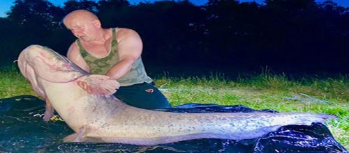 Professzionális vezetett horgász túrák oktatással - kuttyogatás, pergetés, vertikál 2 fő   ( motorcsónakkal a Dunán) 