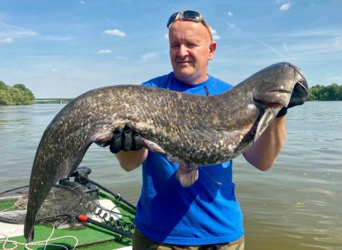 Professzionális vezetett horgász túrák oktatással - kuttyogatás, pergetés, vertikál 2 fő   ( motorcsónakkal a Dunán) 