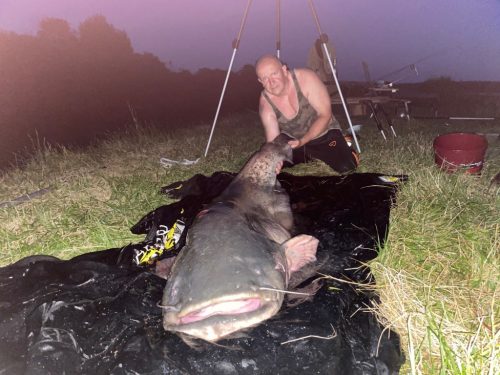 Professzionális vezetett horgász túrák oktatással - kuttyogatás, pergetés, vertikál 2 fő   ( motorcsónakkal a Dunán) 