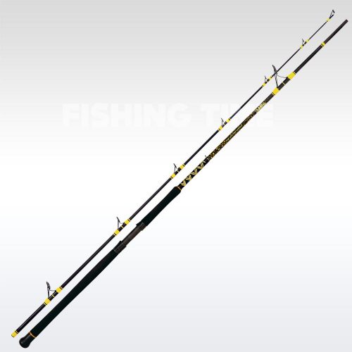 Black Cat Passion Pro DX Boat Spin 2,40m 600g