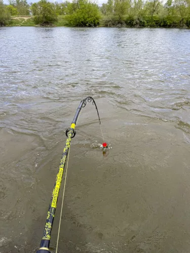 Black Cat Perfect Passion Boat 400g 2,50m   