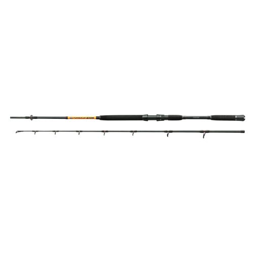 NEVIS Powercat BX 270cm 200-400 g