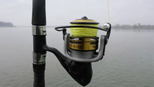 Black Cat Passion Pro FD Elsőfékes harcsázó orsó 660   