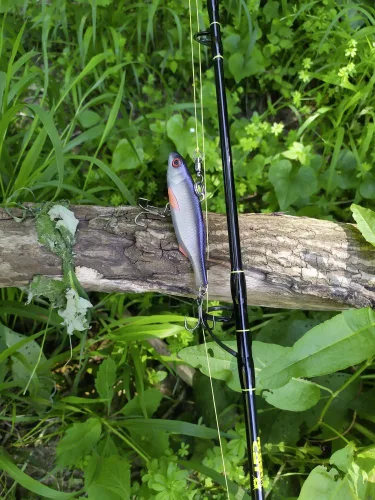 Black Cat BC Vibe 1db - baitfish 10cm/60g  