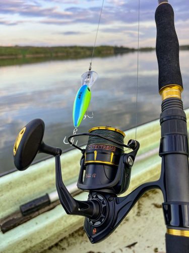 Black Cat Catextreme harcsázó orsó 55   