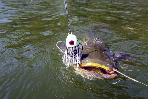 Black Cat Battle Teaser fluoreszkáló Süllyedő 200 g  