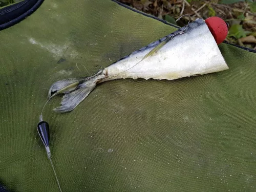 Quantum Mr. Pike Bait Pop Up Kit 3db csalihal lebegtető szett - piros   