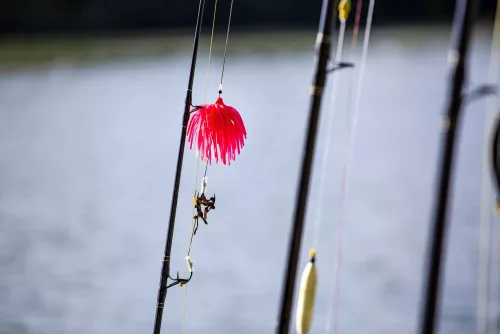 Black Cat Real Worm Teaser rózsaszín 120 g  