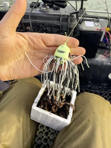 Black Cat Battle Teaser Silent sárga/fekete 170 g  