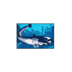Szőnyeg Delphin CatchMe! SÜLLŐ | 60x40cm