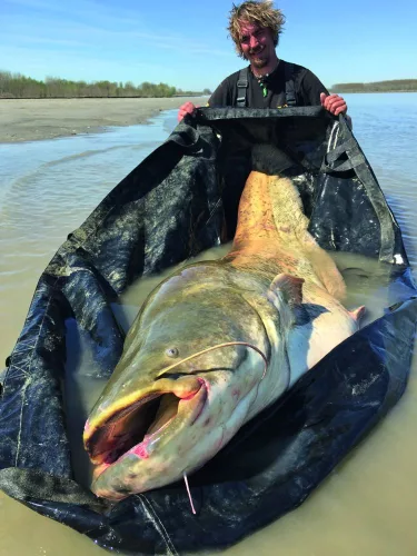 Black Cat Hard Core halmérő bölcső 210cm 156cm   