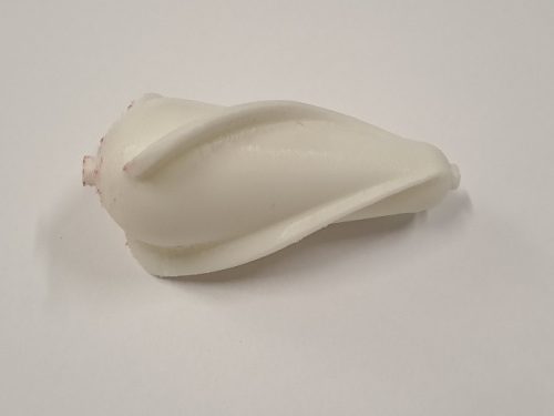 MONSTER CAT Nature Friendly Upose 20g Barna