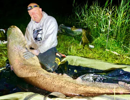 MONSTER CAT Spannolós-kikötős végszerelék-állítható kombi előkével 