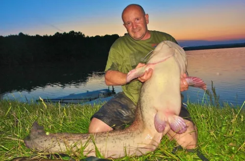 MONSTER CAT HARCSABOJLI 24mm 1,5 kg