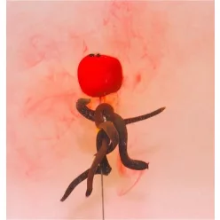 MONSTER CAT Aktív Catfish Pop-Up 30mm véres-halas 