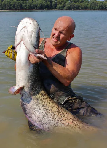 MONSTER CAT PERFECT KÉSZ KUTTYOGATÓ VÉGSZERELÉK- AROMA KIBOCSÁTÓVAL 150G 