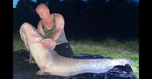 MONSTER CAT PERFECT KÉSZ KUTTYOGATÓ VÉGSZERELÉK- AROMA KIBOCSÁTÓVAL 150G 