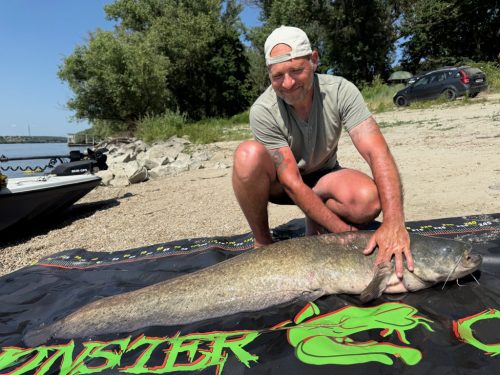 MONSTER CAT HARCSA MATRAC ÉS MÉRLEGELŐ 