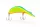 MONSTER CAT CAT POLLY 23 gr Rainbow