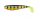 FOX RAGE ZANDER PRO UV Perch 12 cm  