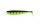 FOX RAGE ZANDER PRO Glow Perch