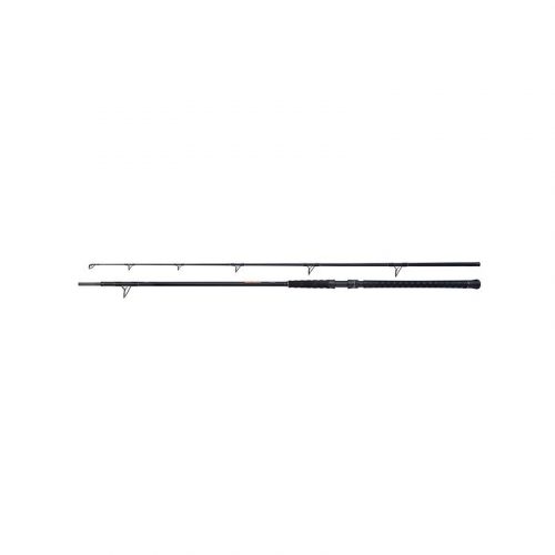 Shimano Beastmaster Catfish Static 300cm 400g 2pc