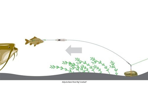 MADCAT Adjusta Basic River Rig "LIVE BAIT" 60 g  