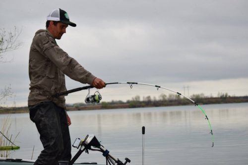 MAD CAT WHITE CLONK TEASER HARCSÁZÓ BOT 180cm/100-150g  