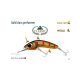 PREDATEK WOOMERA W90 wobbler Daly River Gold   
