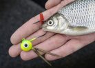 Zebco DB Series - bait holding flags - csalihal jelölő és stopper