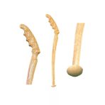 Monster Cat kuttyogatók 